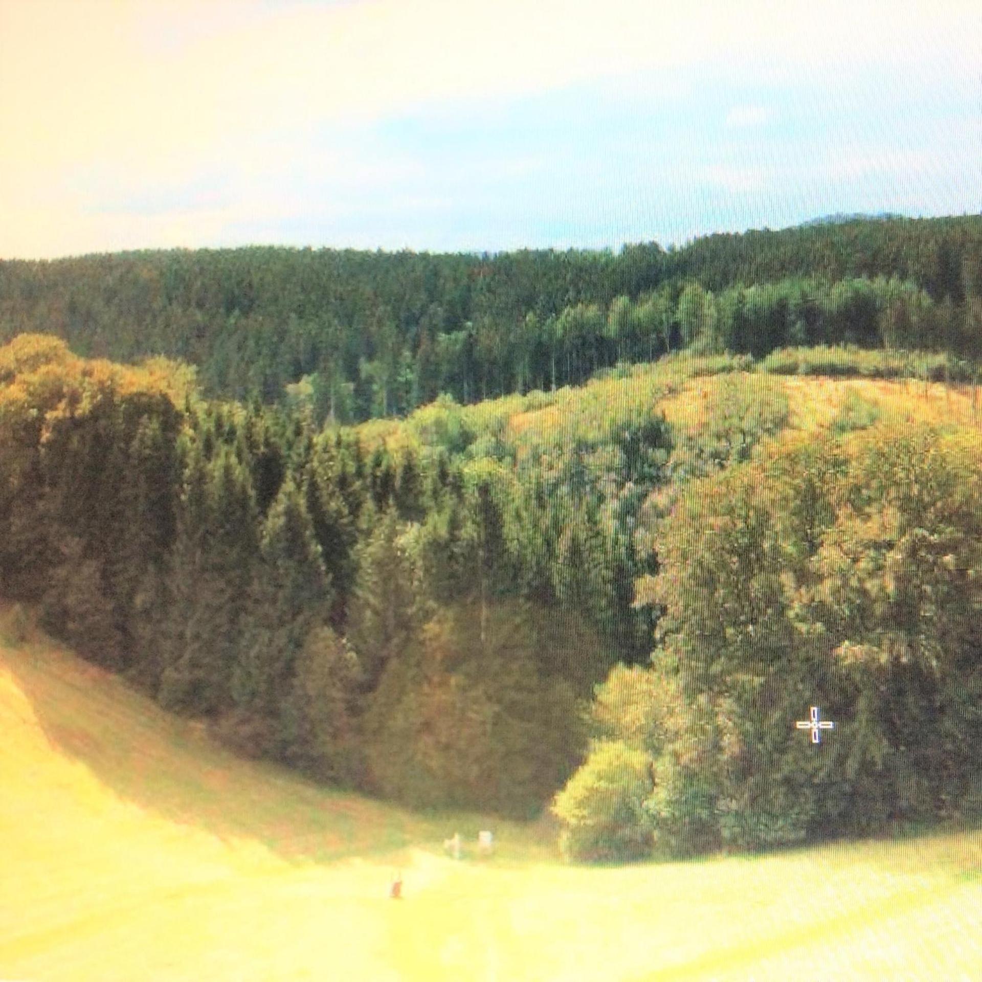 Ferienwohnung Panoramicharz App459 Braunlage Eksteriør bilde